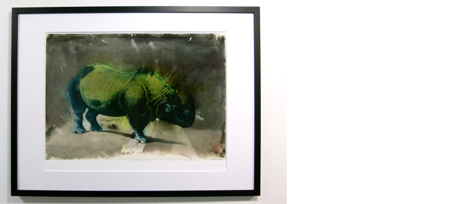 Johannes Brus, Nashorn, Fine Art Print auf Hahnemühlen Bütten, 10/30